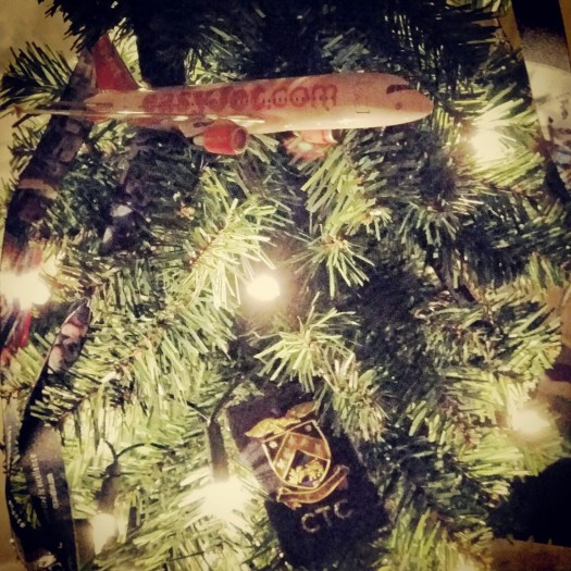 IMG_20141201_205346_resized